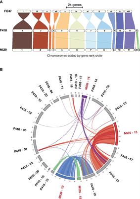 Pangenomics of flax fungal parasite Fusarium oxysporum f. sp. lini